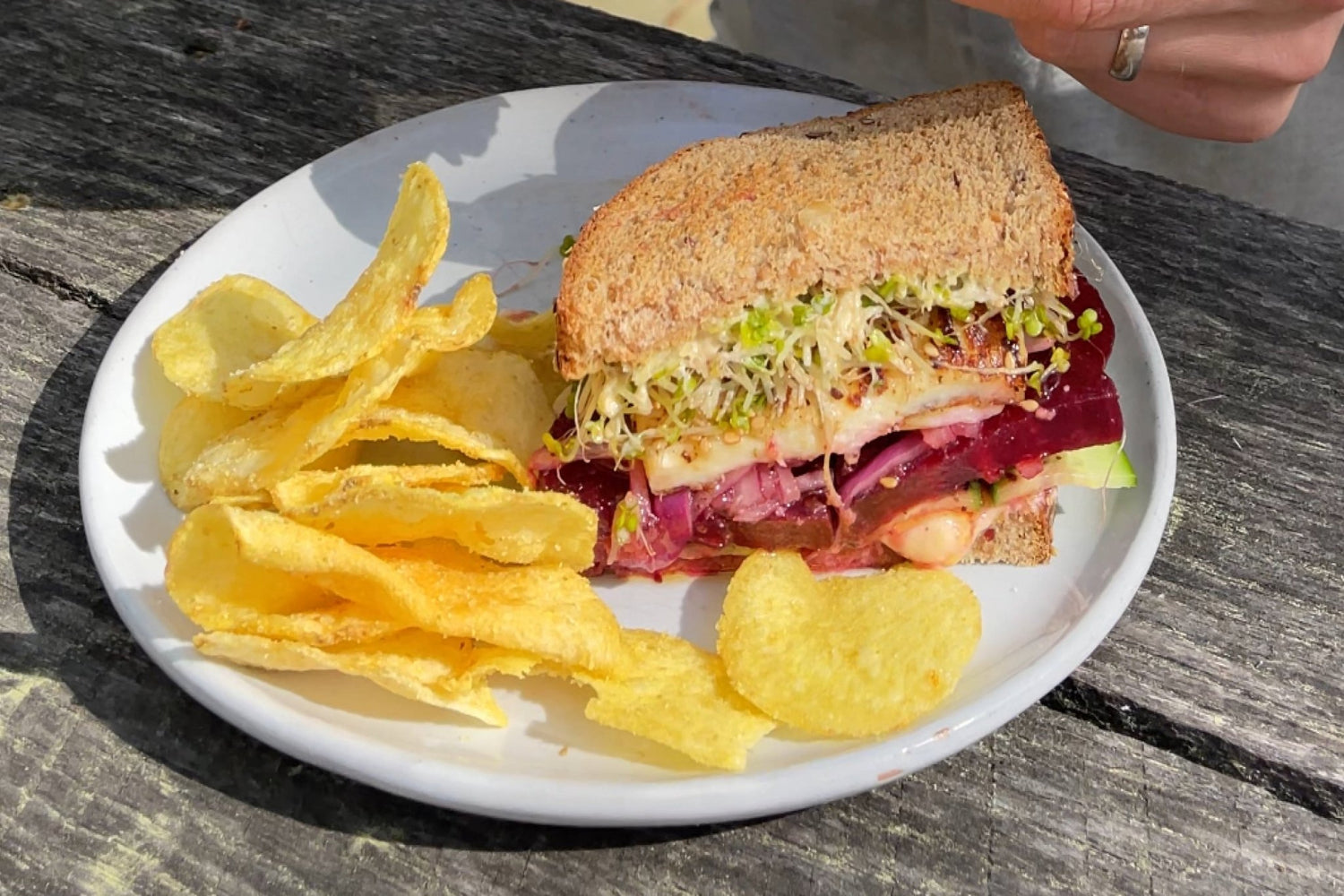 Golden Garlic Veggie Halloumi Sandwich