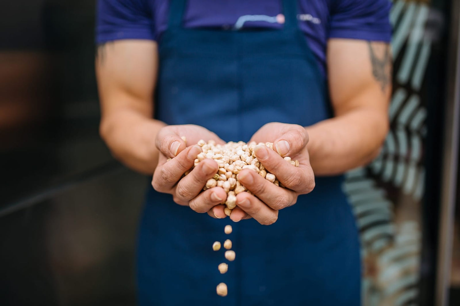 The Mighty Chickpea