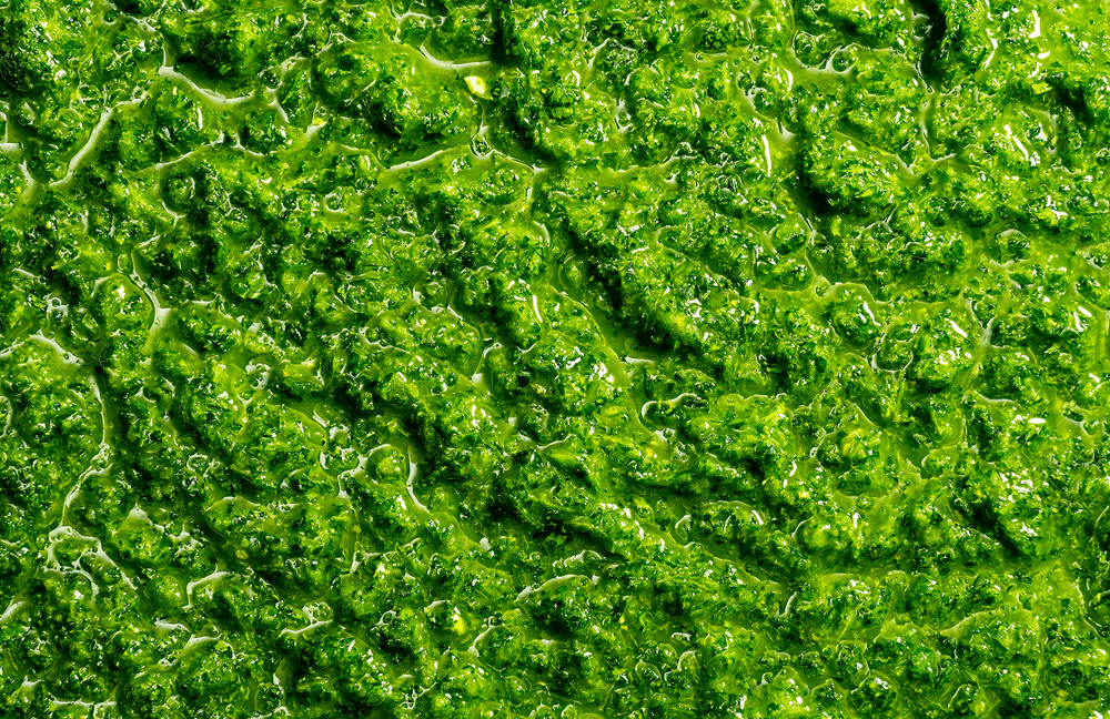 Herby Jalapeño