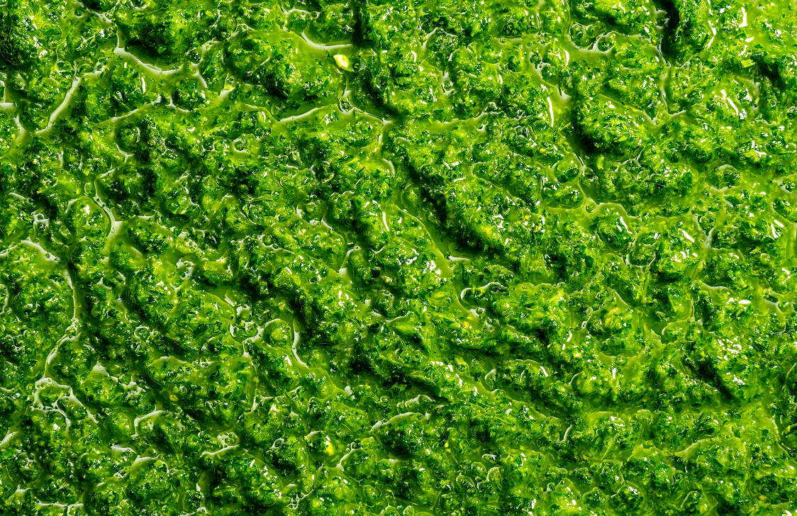 Herby Jalapeño